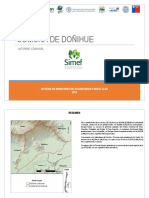 R06105-Informe Comunal Doñihue-V2019