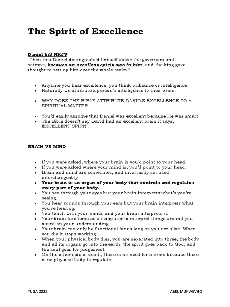 The Spirit of Excellence PDF Mind Soul