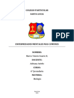 Colegio Particular Santa Lucia: Marco Vinicio Suarez R. Adriana Antelo 6° Secundaria