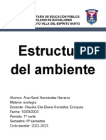 Estructura Del Ambiente: Secretaría de Educación Pública Colegio de Bachilleres Instituto Villa Del Espíritu Santo