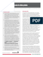 Leucemia de Células Peludas: Puntos Clave Introducción