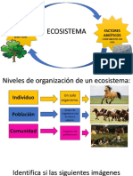 Ecosistema (Niveles de Organización)