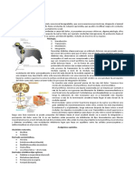 Semana 11.10