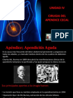 Unidad Iv Cirugia Del Apendice Cecal: Torres Carolina Chavez Evangelina