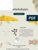 Carbohidratos: Presentado Por: Stephanie Velazquez Nuci y Gabriel Cárdenas Vargas