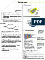 Biología Celular y Molecular 1 Célula Eucarionte y Procarionte