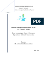 Proceso Enfermero en Un Adulto Mayor Con Estenosis Aórtica