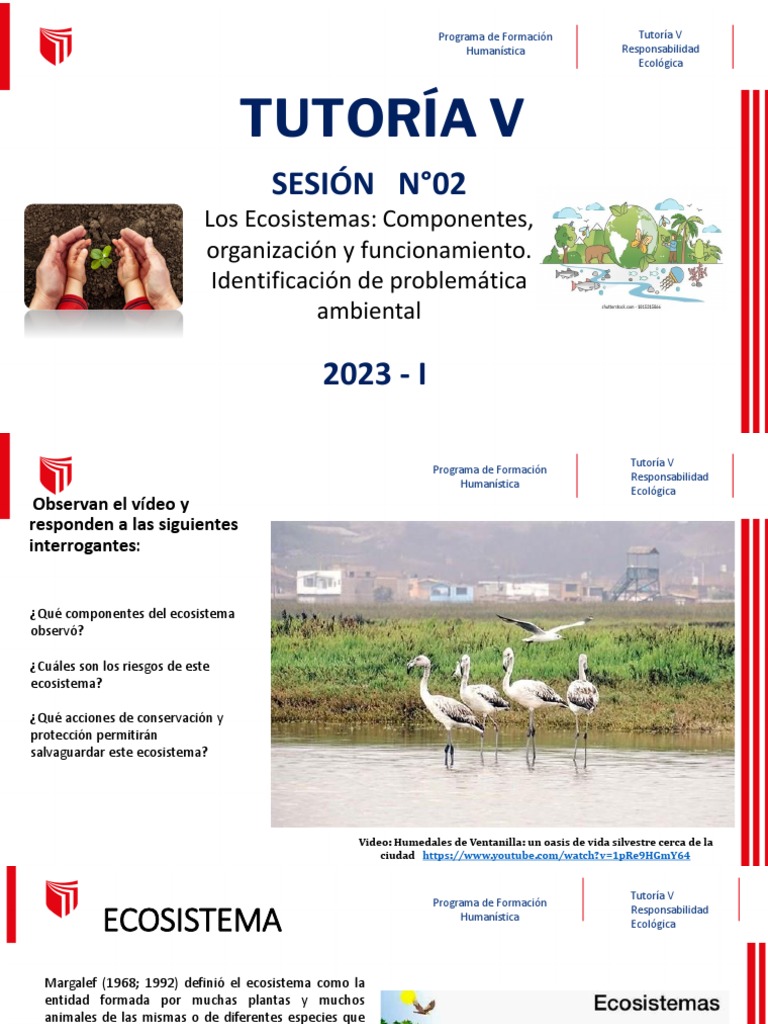 Ecosistemas y Responsabilidad Ecológica | PDF | Ecosistema | Ecología