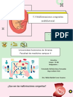 5.3 Malformaciones Congenitas Multifactorial