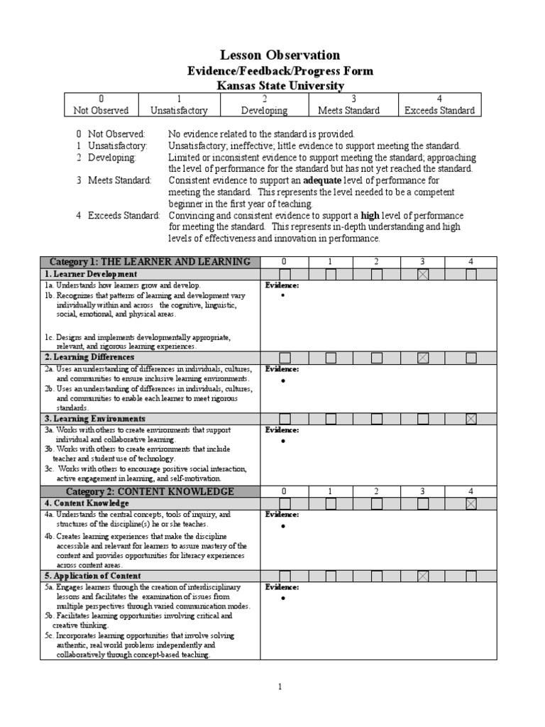 tb lesson observation form 022823 | PDF | Learning | Interdisciplinarity