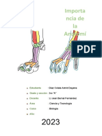 Anatomia Comparada