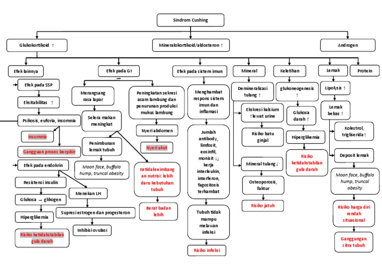 Pathway Cushing Syndrome PDF