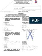 Bio 2EM U1 E01 evaluación-formativa-ADN