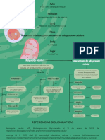 Mapa Conceptual Respuesta Celular y Mecanismos de Adaptacion