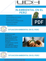Situacion Ambiental en El Perú