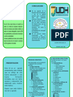 Triptico de Procesos Conaativos 1