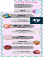 Infografía de Términos de Embriología