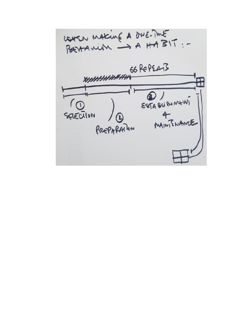 Concurrent Schedules The Key To Lasting Habit Formation - 92i8ogy