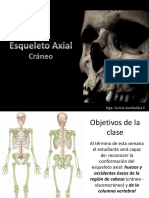 Esqueleto Axial-Cráneo