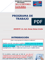 Programa de Trabajo: Carrera Auditoria Financiera