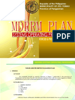 MDRRM Systems