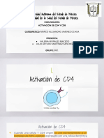 Activación de Linfocitos CD4 y CD8