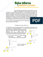 Sales Biliares y Hormonas Esteroideas