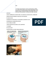 Caso clínico neurocirugía: resección de tumor de fosa posterior