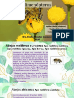 3.3 Abeja y Oruga Peluche 2022