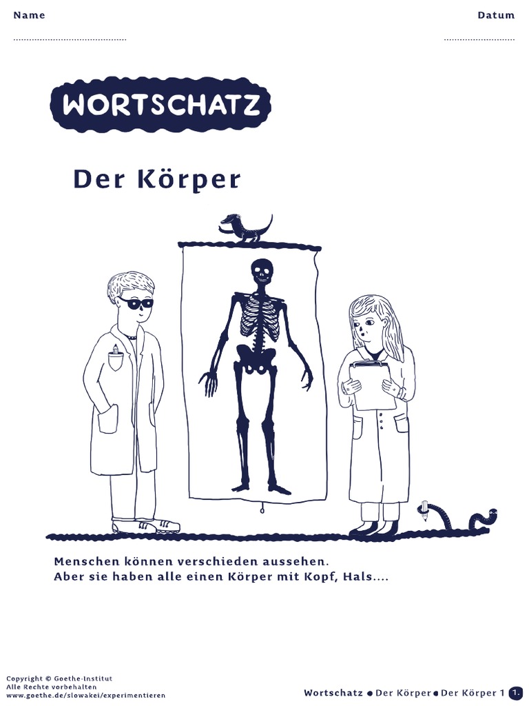 Korper Wortschatz Der Korper 1 0711 N1 Pdf