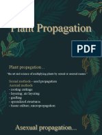 Marcotting - Plant Propagation