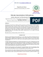 Molecular Characterization of Wild Mushroom