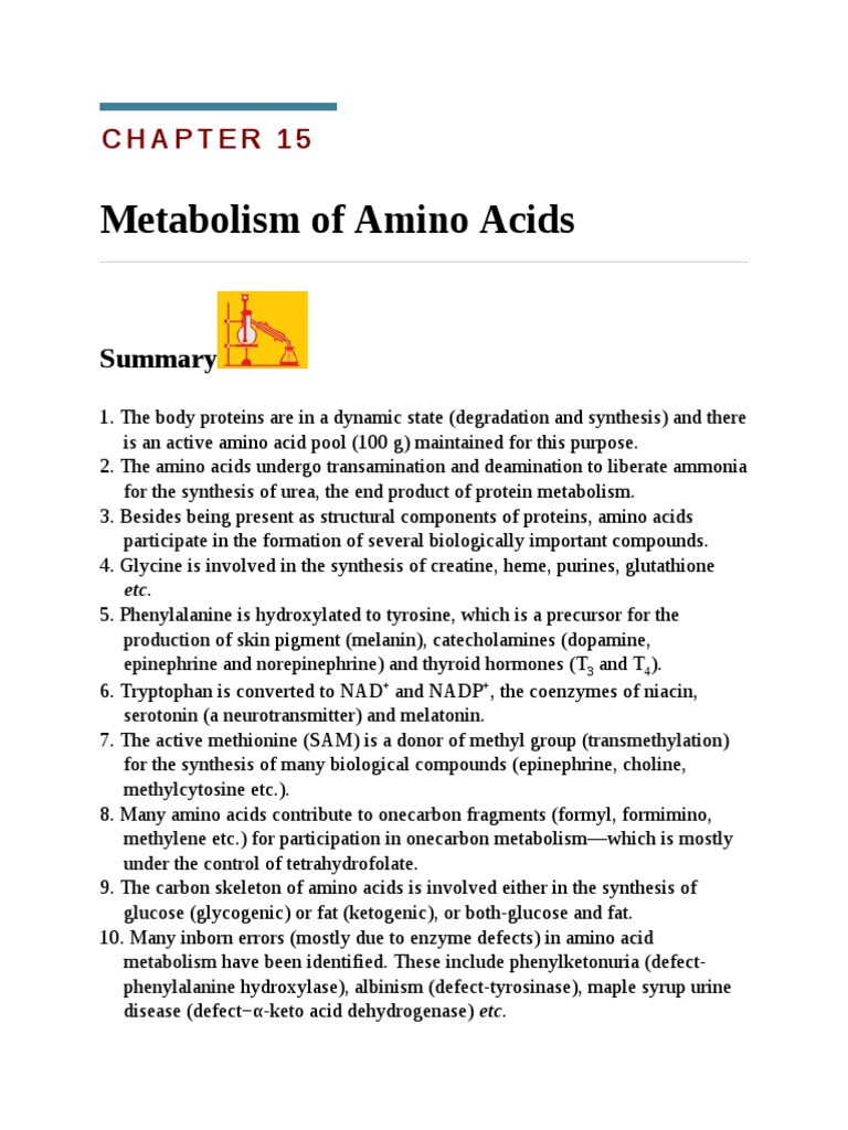 Metabolism of Amino Acids PDF Tyrosine Creatinine