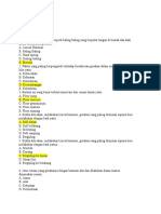 Soal Modul Senam Lantai