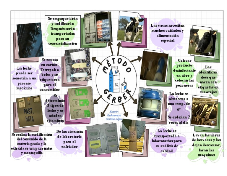Metodo Gerber | PDF | Leche | Nutrición