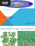 Cassava Group