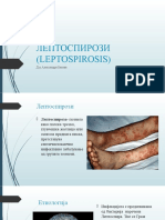 Лептоспирози Leptospirosis