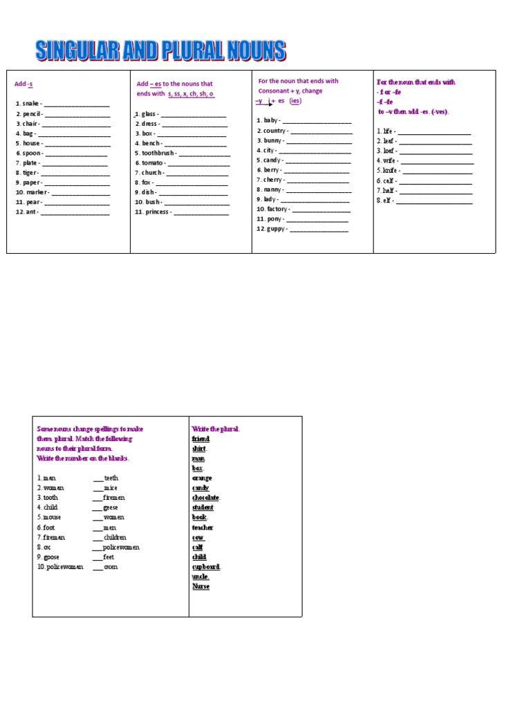 Nouns Singular and Plural Grammar Guides Picture Dictionaries 38791