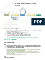 Central Dogma of Molecular Biology