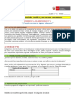 Modelo de Experiencia de Aprendizaje para Evaluación Diagnóstica Primer Año Sec