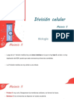 División Celular: Meiosis II