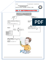 Matrices y Determinantes