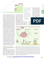 Contrôle Neural de Remodelage Osseux Le Rôle Crucial de La Leptine