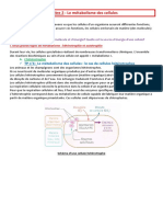 TP N°6: Le Métabolisme Des Cellules: Le Cas de Cellules Hétérotrophes