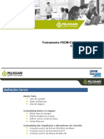 Treinamento FSCM-CLM-Liquidity Planner Customização Básica: Guilherme Rampo