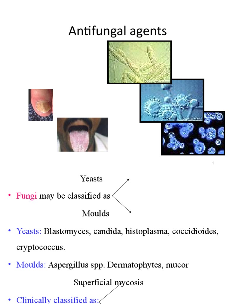 Antifungal Agents PDF Candidiasis Topical Medication