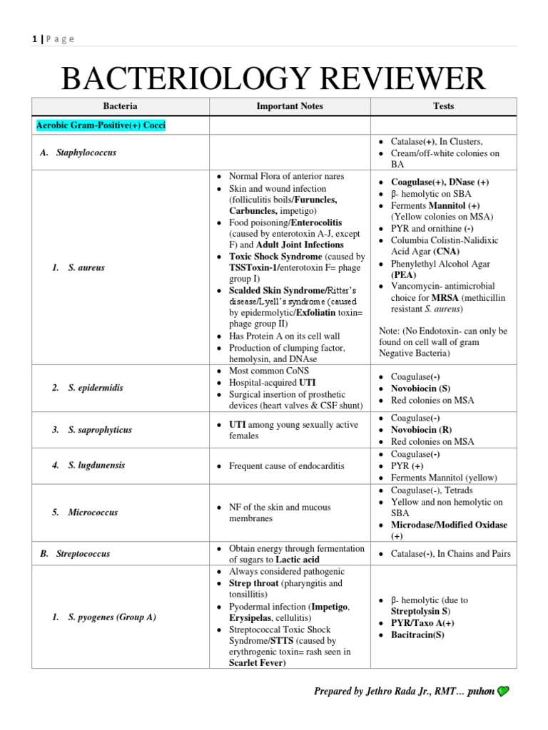 Bacteriology Reviewer Bacteria Important Notes Tests Aerobic Gram