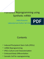 Fibroblast Reprogramming Using Synthetic mRNA