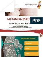 Lactanciamaternaexclusiva