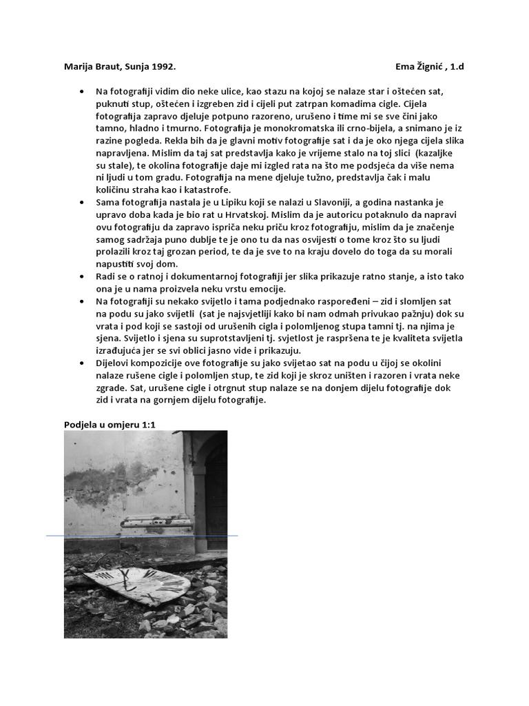 likovna umjetnost | PDF